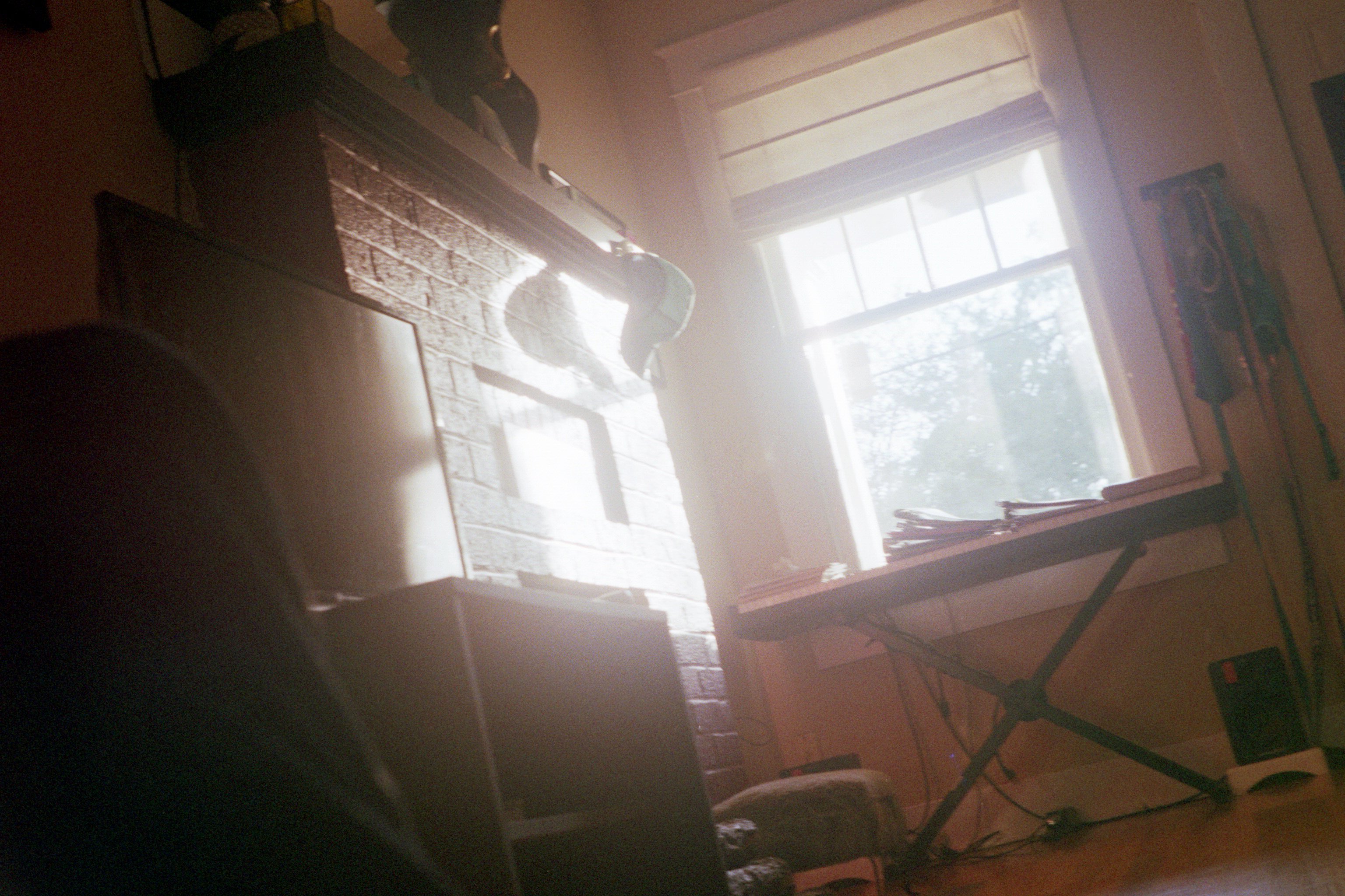 An ant's eye view from the living room
