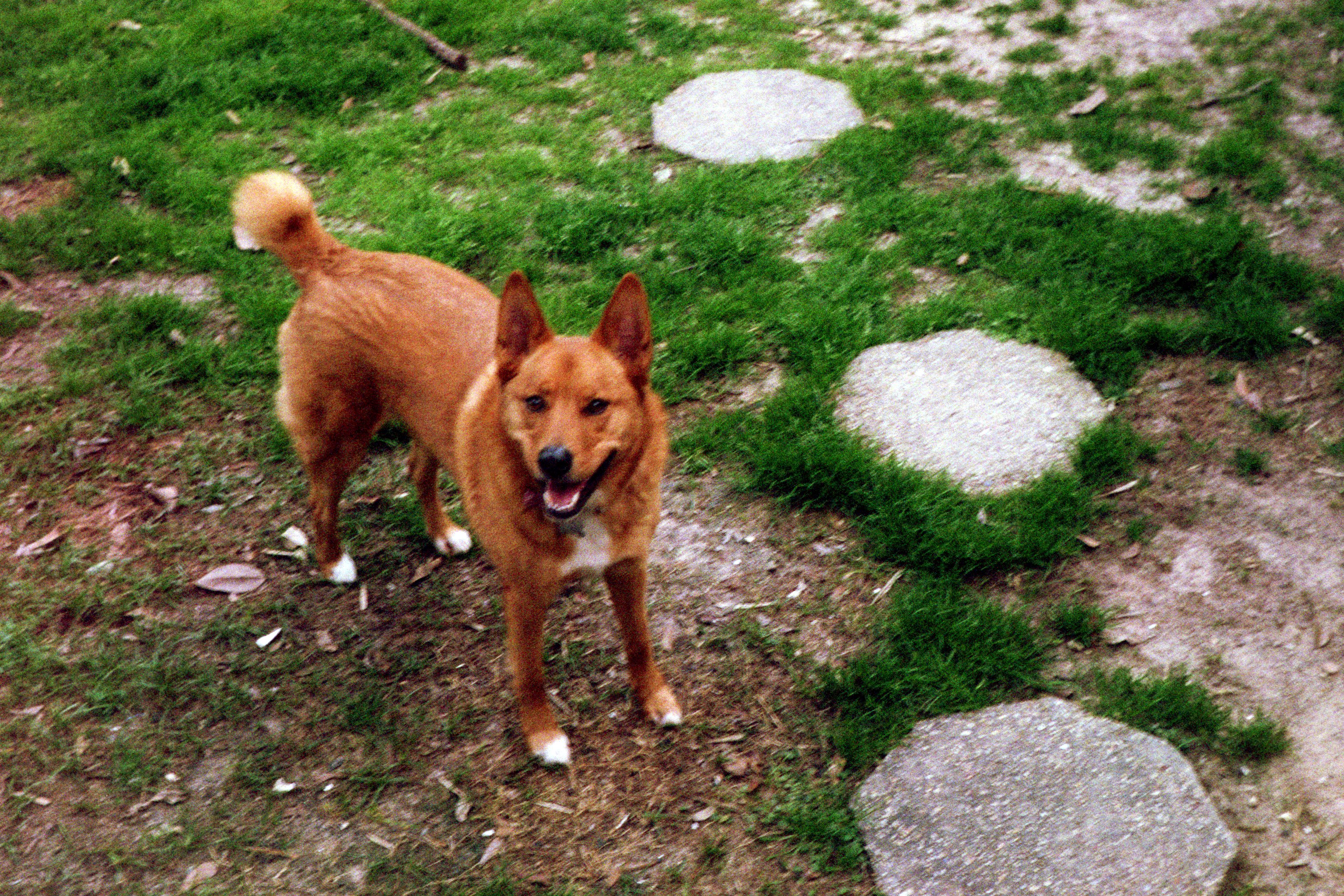 A blurry Stormy smile