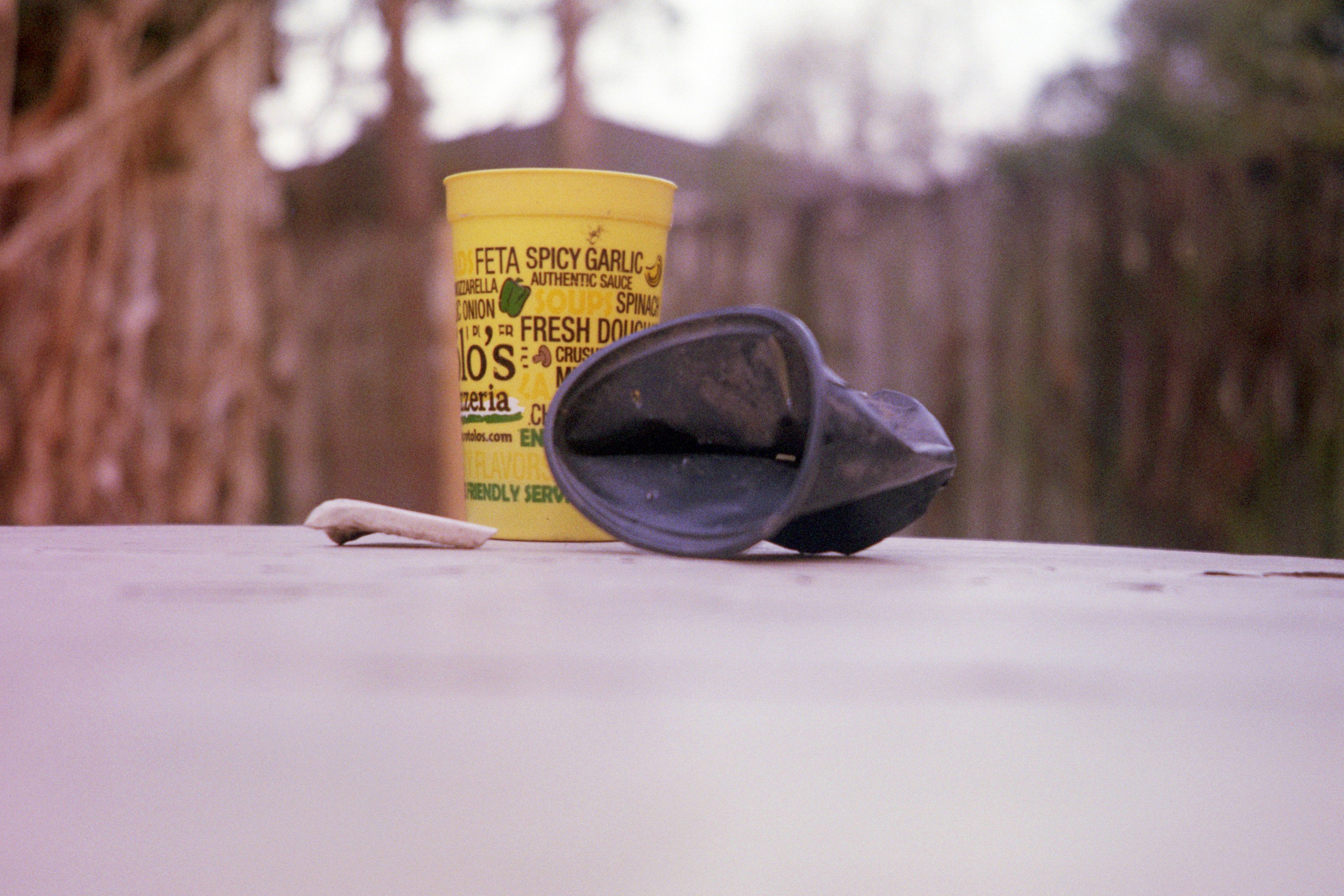 Still life with crumpled cup and bone